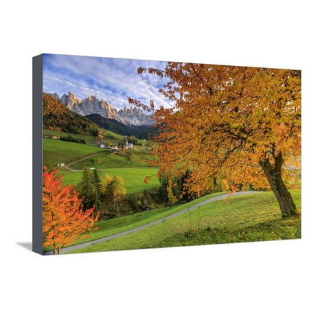 654 cherry tree road cherry trees in autumn color the country road around st magdalena stretched canvas 654 cherry tree road cherry trees in autumn color the country road around st magdalena stretched canvas