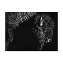 Trademark Fine Art 'Enduring II' Canvas Art by Julie T. Chapman