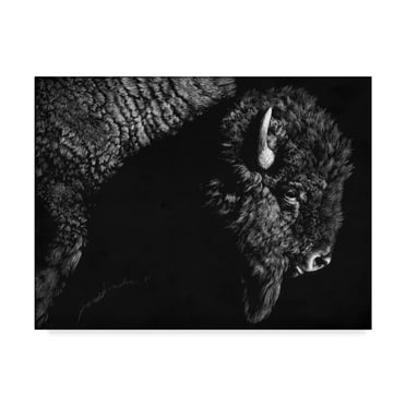 Trademark Fine Art 'Enduring II' Canvas Art by Julie T. Chapman
