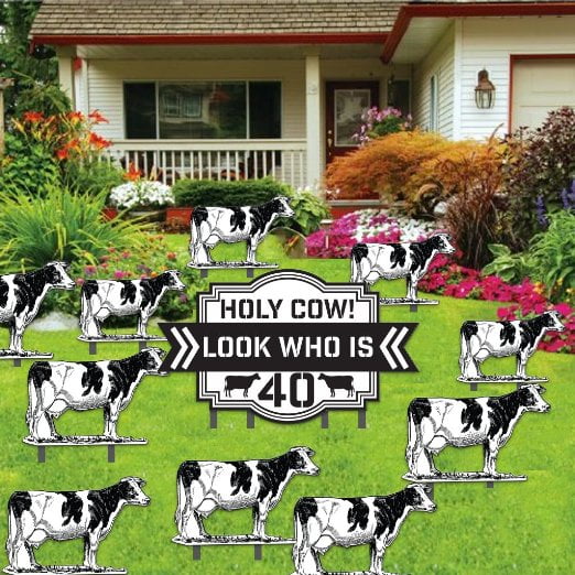 40th Birthday Yard Decoration Holy Cow Look Who Is 40 Walmart Com