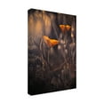 thumbnail image 2 of Canvas Wall Art - Fabien Bravin 'From The Enchanted Secret Garden' Wall Art for Living Room, Bedroom, or Office Décor by Trademark Fine Art - 30 x 47 Inches, 2 of 4