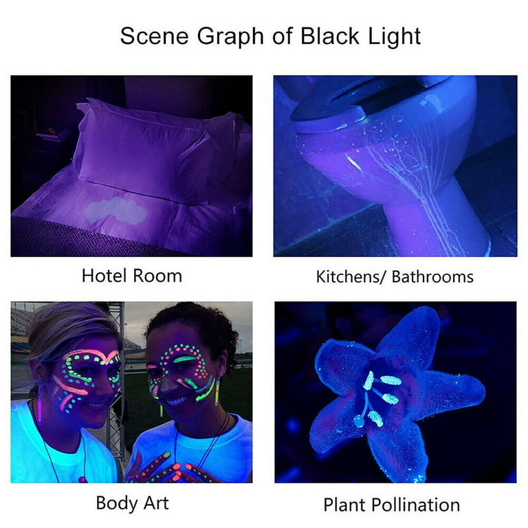 395nm UV Flashlight Blacklight Zoomable USB Rechargeable UV Light Ultr –  iSmart