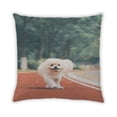 thumbnail image 2 of Ahgly Company Dogs Pomeranian Outdoor Throw Pillow, 18 inch by 18 inch, 2 of 6