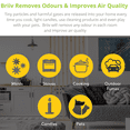 thumbnail image 4 of Briiv - Eco-Certified Air Purifier, Award-Winning, For Large Home & Office Rms, Smart Wi-Fi, 4 of 13