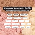 thumbnail image 3 of Proteína en polvo JUST INGREDIENTS Crema de cacahuate y chocolate 24 g, 3 of 9
