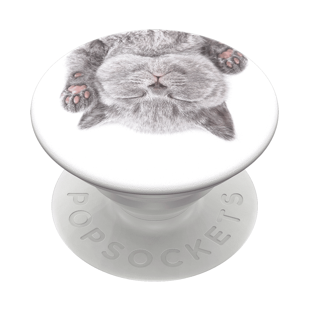 Popsockets Grip With Swappable Top For Cell Phones Popgrip Cat Nap Walmart Com