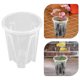 thumbnail image 1 of FENGGUIQU 6Ud Macetas Respirable De Plástico Transparente Para Cultivo De En Hogar, 1 of 8