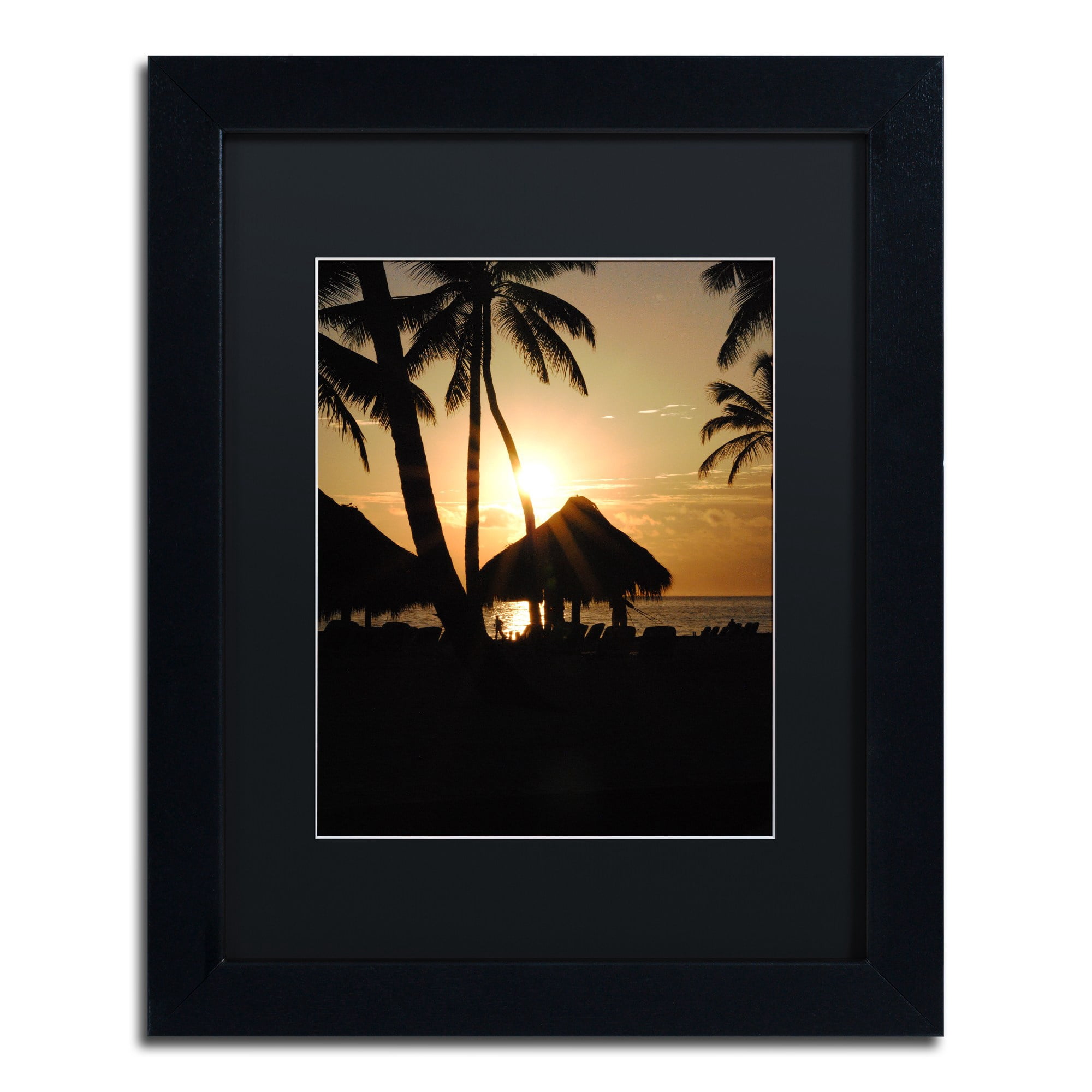 Trademark Fine Art "Majical" Canvas Art by Monica Mize, Black Matte, Black Frame