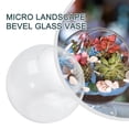thumbnail image 2 of CPAN Creative Clear Glass Ball Vase Micro Landscape Air Plant Terrarium Succulent Hanging Flowerpot Container 12cm/7cm, 2 of 10