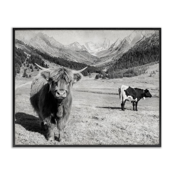 Stupell Industries Farmhouse Curious Ox Clueless Cow Sublime Farm Plains Black Framed Giclee Art, 14 x 11, by Danita Delimont