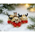 thumbnail image 5 of 4PCS 3D Printed Elements Theme Mini Dragon 3D Easter Eggs with Mini Dragon Inside, Mini Easter Eggs Fidget Toy 3D Articulated Dragon Eggs Mystery Dragon Egg Easter Basket Stuffers Surprise, 5 of 9