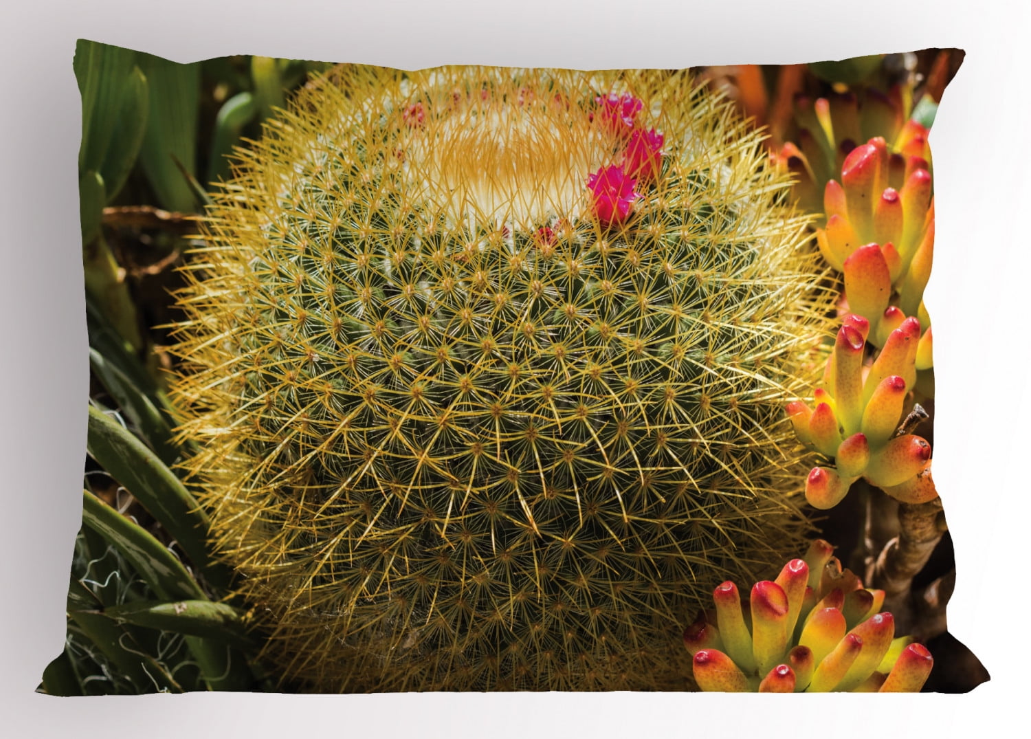 Cactus Pillow Sham Photo of Cactus Plant Flower with Spike