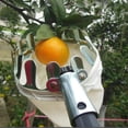 thumbnail image 4 of Cateissary Recolector de frutas de metal con bolsa Huerto Ajustable Plantación Árbol alto Colector de naranjas Jardinería Reemplazo de Cocina y Comedor, 4 of 6