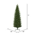 thumbnail image 3 of Vickerman 12' x 49" Eagle Fraser Slim Artificial Christmas Tree, Warm White Dura-lit LED Lights, 3 of 5