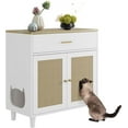 thumbnail image 1 of Hidden Cat Litter Box Furniture with Storage Drawer & Sisal Doors, 1 of 2