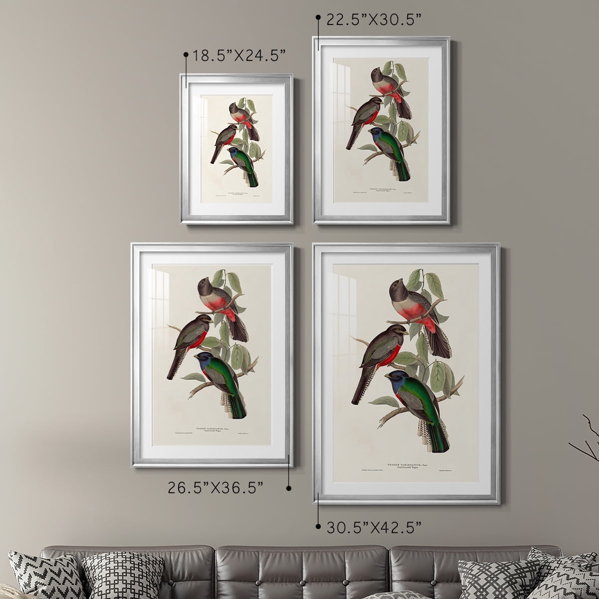 Wexford Home Elegant Trogons V Premium Framed Print, 18.5" x 24.5" - Ready to Hang, Silver (Set of 2)