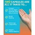 thumbnail image 5 of Zenwise No Bloat, Probiotics Digestive Enzymes Herbal Supplement 48ct, Gas & Bloat Relief, 5 of 10