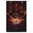 thumbnail image 1 of Film DC Comics The Flash - The Flash One Sheet, 1 of 4