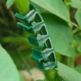 thumbnail image 3 of Yesbay 100 Pcs Plant Clips Flower Stem Support Easy to Use Reusable Tomatoes Peppers Plant Vine Vegetable Fastening Clips Plant Benders, 3 of 7