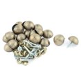 thumbnail image 1 of 20 piezas de tornillos de clavo decorativos de espejo de vidrio semicircular de metal de 18.5 mm de diámetro tono bronce, 1 of 2