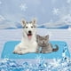 thumbnail image 1 of Herramientas y mejoras para el hogar - Alfombrilla refrescante para mascotas, cojín de seda fría para perros y gatos, manta refrescante lavable para cama, sofá, asiento de coche, suelo, lavable, 1 of 8