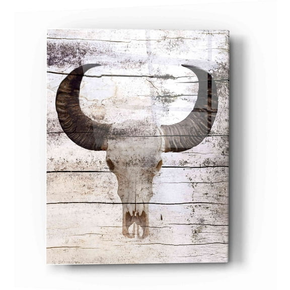 Epic Art 'Bullock Skull' by Irena Orlov, Acrylic Glass Wall Art, 12"x16"