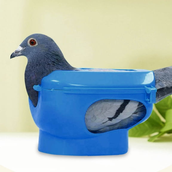 Pigeon Holder,Pigeon Injection Holder Easy Feeding Designed Bird Fixed Frame Rack for Feeding Fixed Mount Bird Supply(Blue)