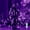 Purple, variant on LED Icicle Fairy Lights,USB 10M 100LED Weatherproof Fairy Lighting Curtain, Dazzling Twinkle or Steady Mode for House, Yard, Holiday, Party, and Seasonal Decorations