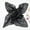 Black, variant on Nvzi-c Elegant Personalized Scarf, Chiffon Square Scarf Simulation Silk Scarf, Decorative Le Fu Scarf (White)