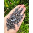 thumbnail image 3 of WHOLESALE Natural Semi Tumbled Sapphire Gemstone Chips, Crushed Mini Crystals, Undrilled (Sapphire, 1 Pound), 3 of 8