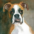 thumbnail image 3 of Fagan, Edie 12x12 Black Modern Framed Museum Art Print Titled - Bella Boxer, 3 of 5