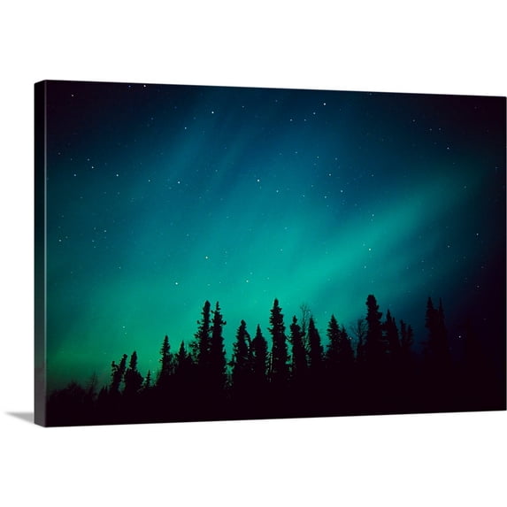 Great BIG Canvas | "Northern Lights over Black Spruce forest during Winter in Southcentral Alaska" Canvas Wall Art - 36x24