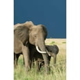 thumbnail image 2 of Susann Parker 13x18 Gallery Wrapped Canvas Wall Art Titled - Protection, 2 of 4