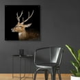 thumbnail image 4 of Epic Art 'Sika Deer' by Epic Portfolio Acrylic Glass Wall Art, 36"x36", 4 of 8