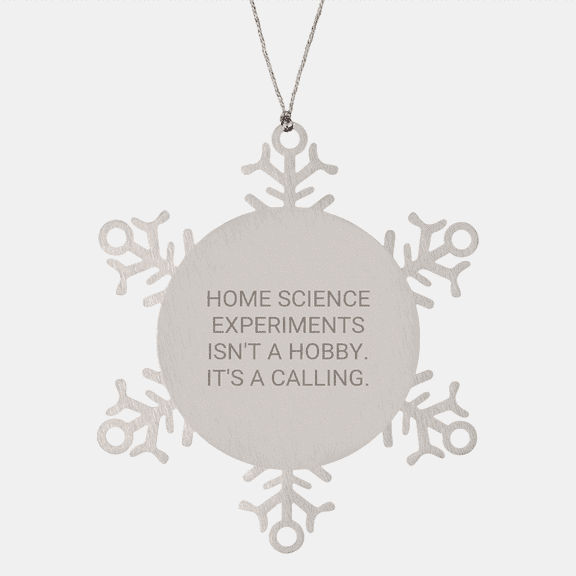 Home Science Experiments Companions, Funny Quote Gifts, Snowflake Ornament for Christmas Memorable Presents, Gifts from Friends, Family, Coworkers, Home Science Experiments Enthusiasts