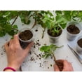 thumbnail image 2 of Gardenera Labs Organic Plant Propagation Premium Potting Mix - Achieve Ideal Air and Moisture Balance - 5 Quart, 2 of 4