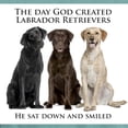 thumbnail image 3 of CafePress - Creation Of Labs T Shirt - Mens Comfort Colors Shirt, 3 of 5