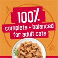 thumbnail image 3 of Friskies Prime Filets Chicken in Gravy, Wet Cat Food 156g, 3 of 8