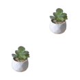thumbnail image 4 of Toystoory Plantas suculentas artificiales Simulación Bonsai Fake Flower Crafts Garden Type3 NO3, 4 of 6