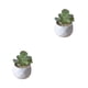 thumbnail image 4 of Billuyoard Simulación suculenta artificial Bonsai Flor falsa con suministros para macetas Type3 NO3, 4 of 6