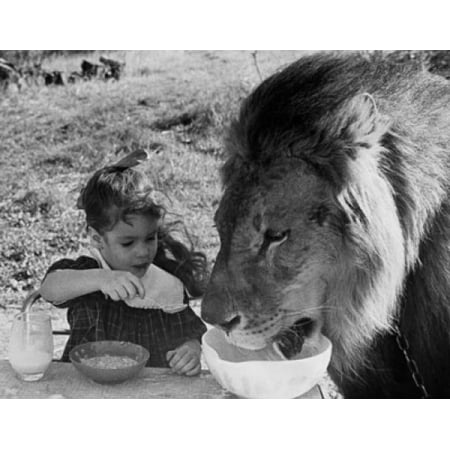 Resultado de imagem para um menino e um leão