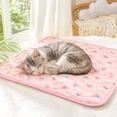 thumbnail image 3 of Pet Cooling Mat, Self-Cooling Ice Silk Cooling Pad, Pink X-Size 15.7 x 11.8 Inch, Summer Cooling Pet Bed for Small Medium Dogs Cats Teddy Keep Cool for Summer Indoor Outdoor Use, 3 of 8