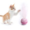 thumbnail image 3 of Cat Toy Interactive Artificial Feather Pet Ball Cat Fetch Ball Cat Teaser Toy, 3 of 5