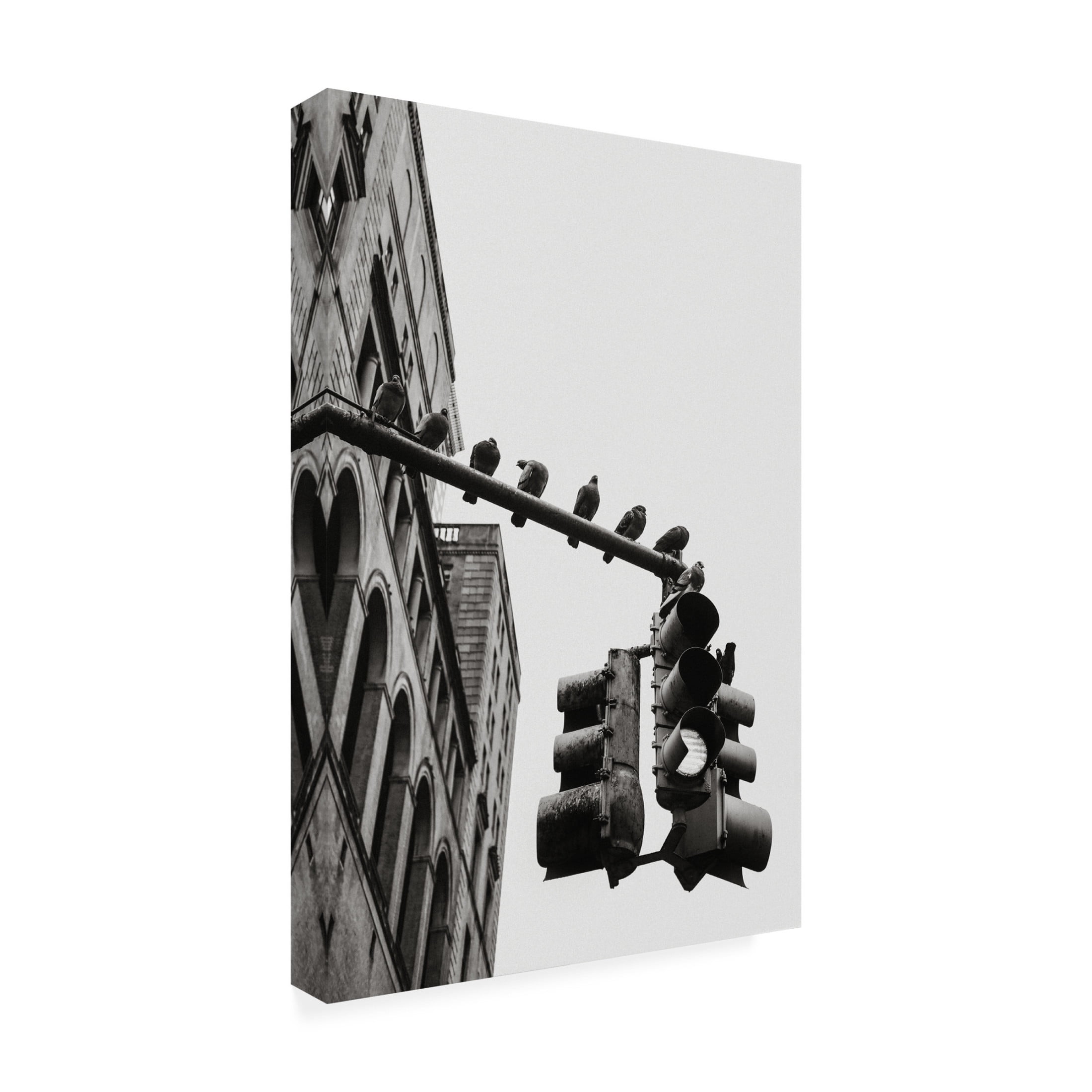 Trademark Fine Art Rikard Martin  New York City Doves Canvas Wall Art