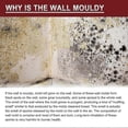 thumbnail image 4 of 3x Removedor de moho de pared 60ml, Removedor de moho de pared, Limpiador en aerosol removedor de moho doméstico, 4 of 5