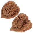 thumbnail image 3 of MasteelfCA 2pcs Walnut Massage Balls Handball Training Wild Walnut Health Ball Playthings, 3 of 8