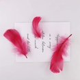 thumbnail image 4 of 450 Pieces Red Feathers for Craft Wedding Home Party Decorations, 3-5 Inches Red Craft Feathers, 4 of 7