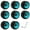 Blue (88A), variant on Wofarmy 8pcs Roller Skate Wheels 58x32mm 88A PU for Quad Skates Indoor Outdoor Blue (88A)