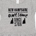 thumbnail image 4 of Inktastic New Hampshire Awesome Since 1788 Girls Toddler Dress, 4 of 5