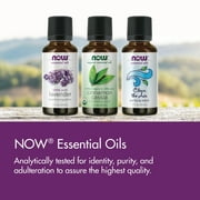 NOW Essential Oils, Balsam Fir Needle Oil, Woodsy Aromatherapy Scent, Steam Distilled, 100% Pure, Vegan, Child Resistant Cap, 1-Ounce